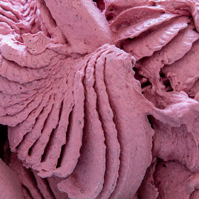 165 Frutta More Di Gelso