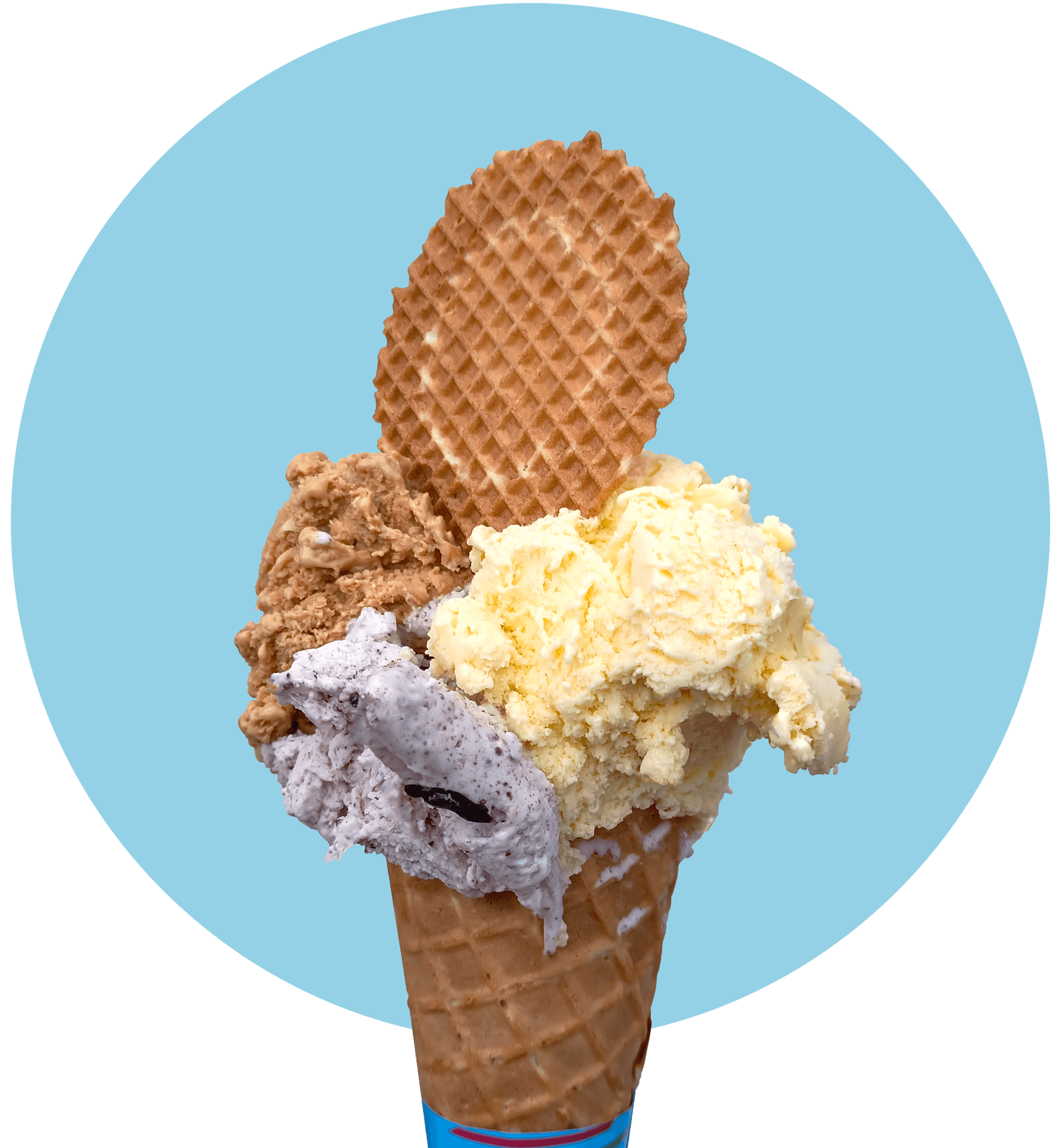 content.ImmagineTondo.Name